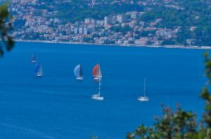 regata-herceg-novi-savina    